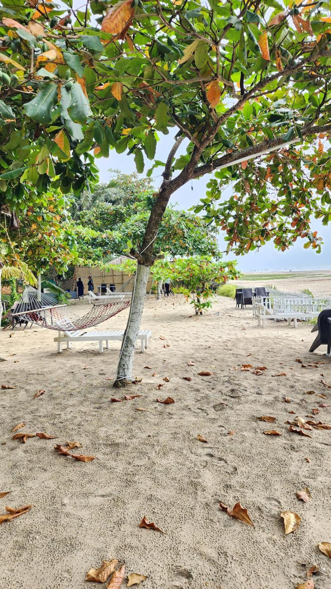 Palm Beach Resort, Alleppey Alappuzha Bagian luar foto