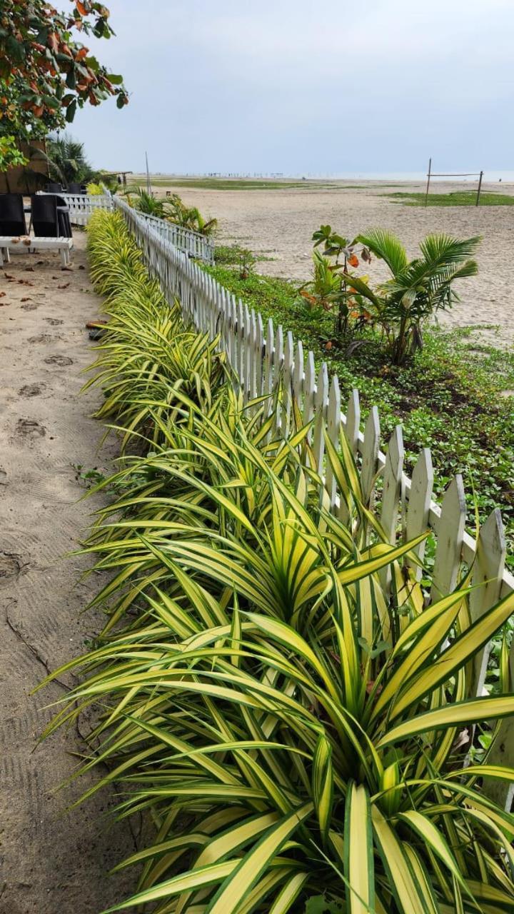 Palm Beach Resort, Alleppey Alappuzha Bagian luar foto